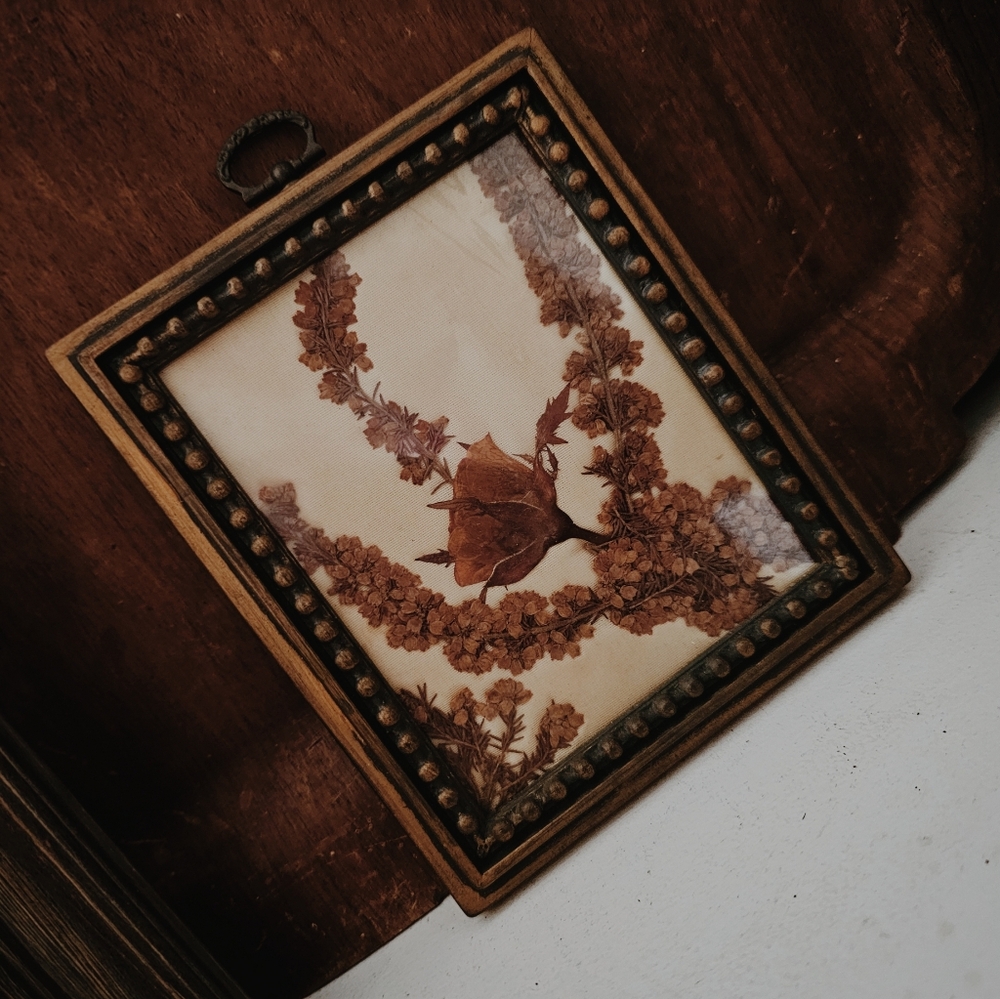 Old Framed Flower Pressed Picture with Cushioned Backing